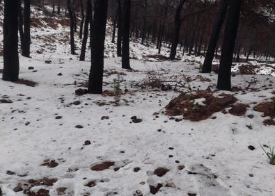 Imagen secundaria 1 - Se ha cerrado el paso a vehículos por placas de hielo en el acceso a la carretera de San Pedro. Sierra de las Nieves y nieve en Mijas. 