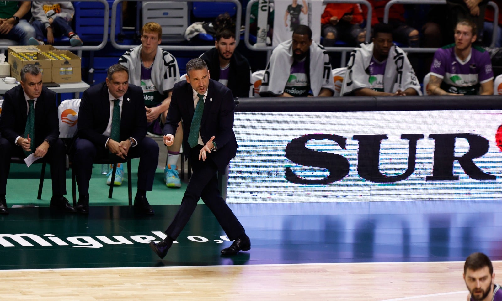 Fotos: La victoria del Unicaja ante el Valencia en imágenes