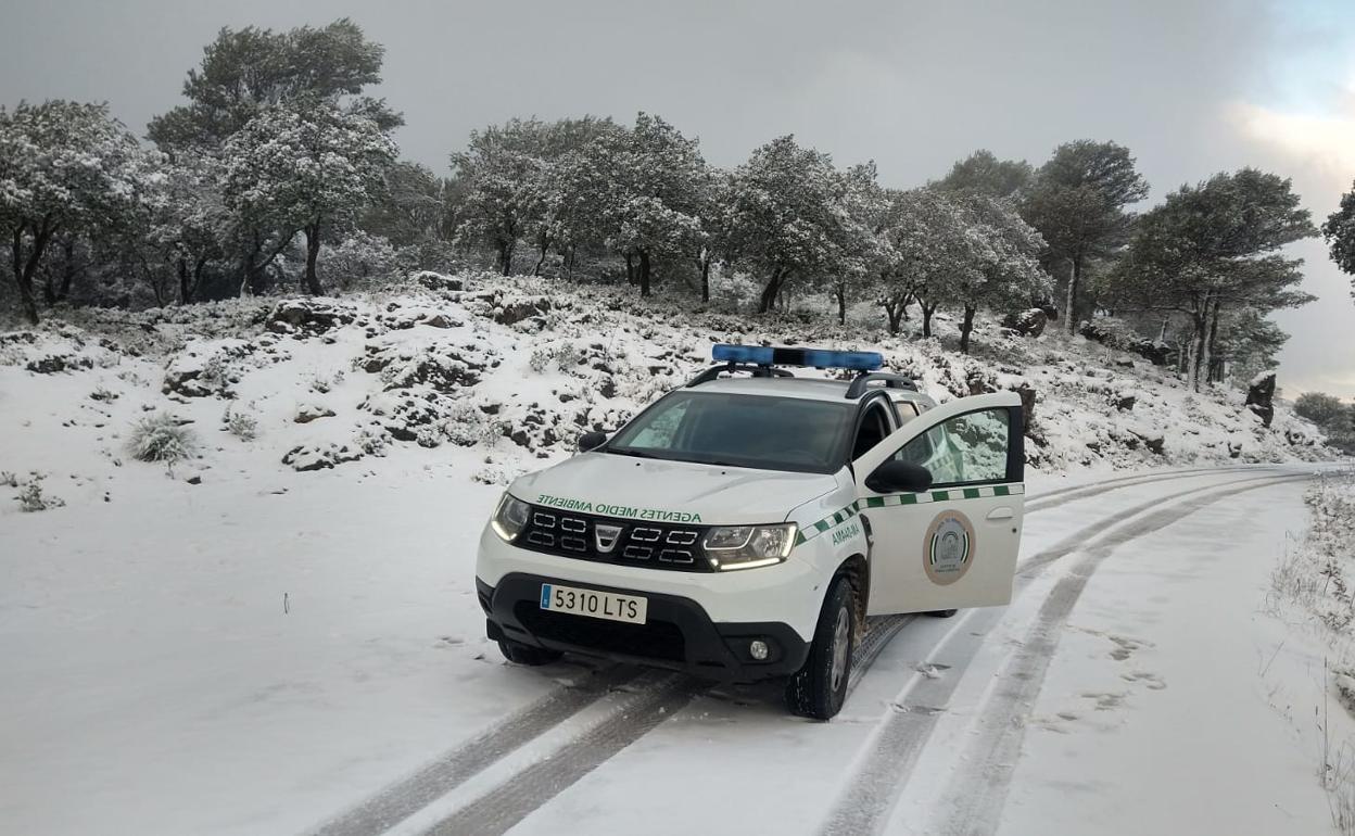 Manto blanco este lunes en uno de los accesos al Parque Nacional Sierra de las Nieves.