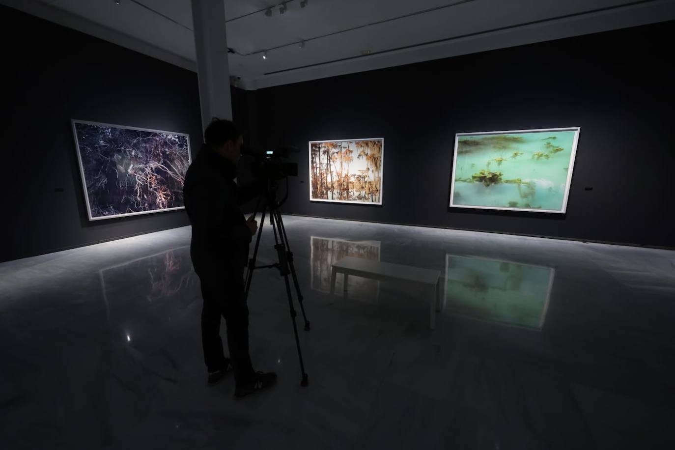 Exposición de Pierre Gonnord en el Rectorado de Málaga