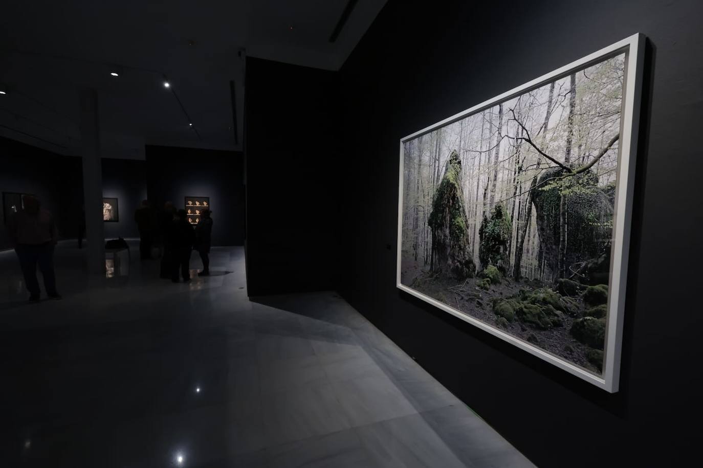 Exposición de Pierre Gonnord en el Rectorado de Málaga