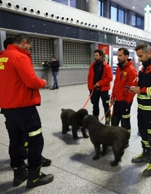 Imagen secundaria 2 - Bomberos de Málaga viajan a Turquía para rescatar a víctimas del terremoto: «Nos impulsa dar un paso al frente ante la calamidad»