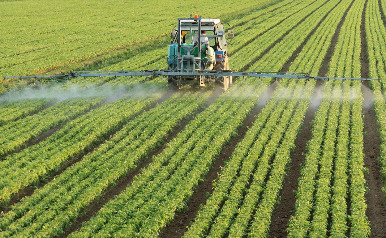 España se acerca en su conjunto a los 17 millones de hectáreas dedicadas a la agricultura, de las que dos terceras partes se corresponden con tierra arable