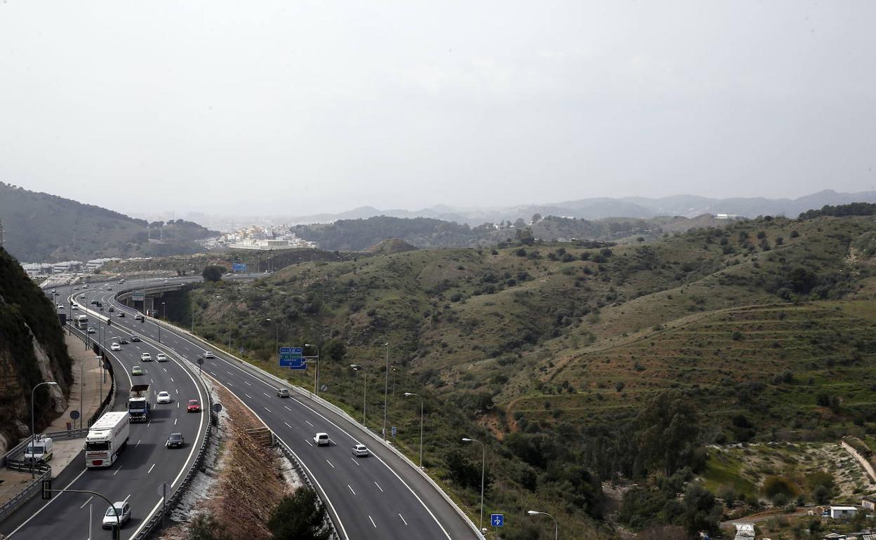 El Ayuntamiento prevé reforestar terrenos en los que el alcalde planteó la construcción de viviendas. 