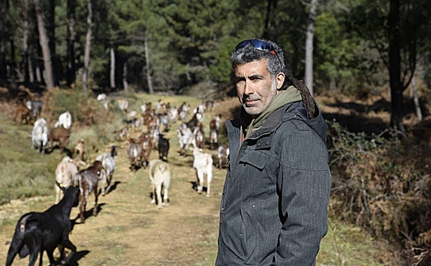 José Antonio Recio, junto a su rebaño de cabras en los montes de Extremadura, donde se trasladó desde Málaga. 