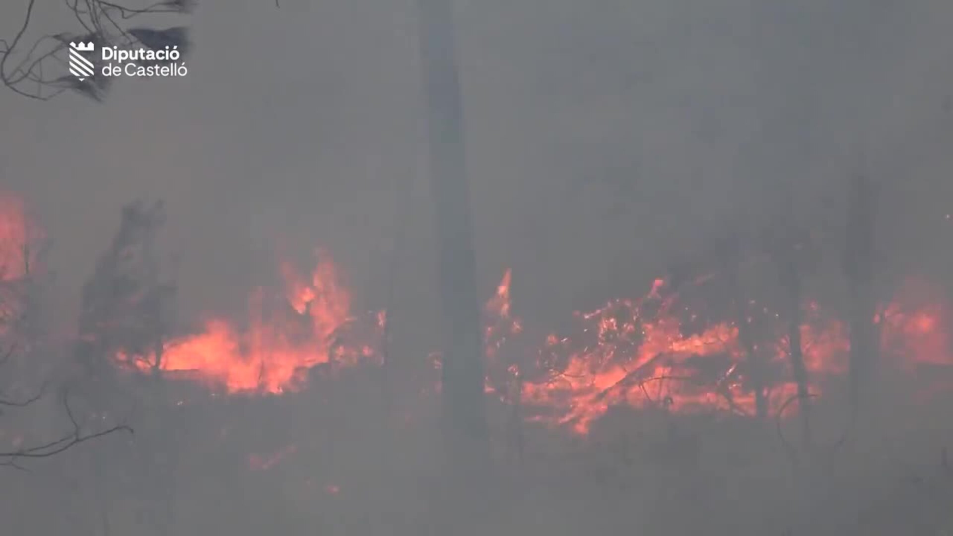 Más de 450 efectivos trabajan en la extinción del incendio de Villanueva de Viver