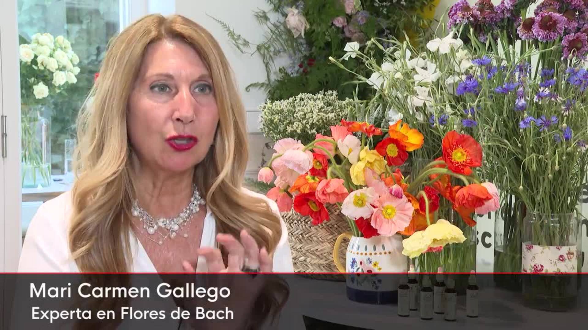 Las flores que ayudan a gestionar las emociones