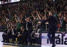 El banquillo del Unicaja salta de alegría en un momento de la reciente victoria liguera ante el Barça.