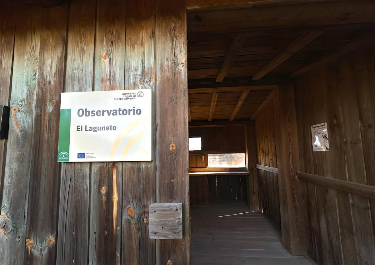 Imagen secundaria 1 - 'El Laguneto', la laguna de la reserva donde permanece el agua durante todo el año; su mirador y un puente construido junto al acceso al centro de visitantes.