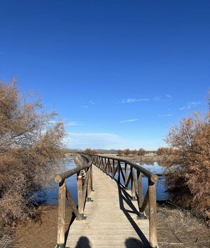 Imagen secundaria 2 - 'El Laguneto', la laguna de la reserva donde permanece el agua durante todo el año; su mirador y un puente construido junto al acceso al centro de visitantes.