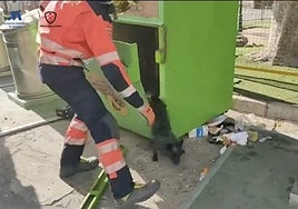 Momento del rescate de los perros por el Consorcio Provincial de Bomberos de Málaga en Álora.