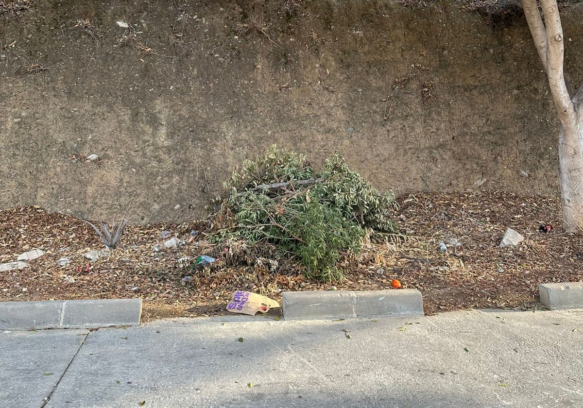 Vista de las brozas y basura de la calle Benito Menni.