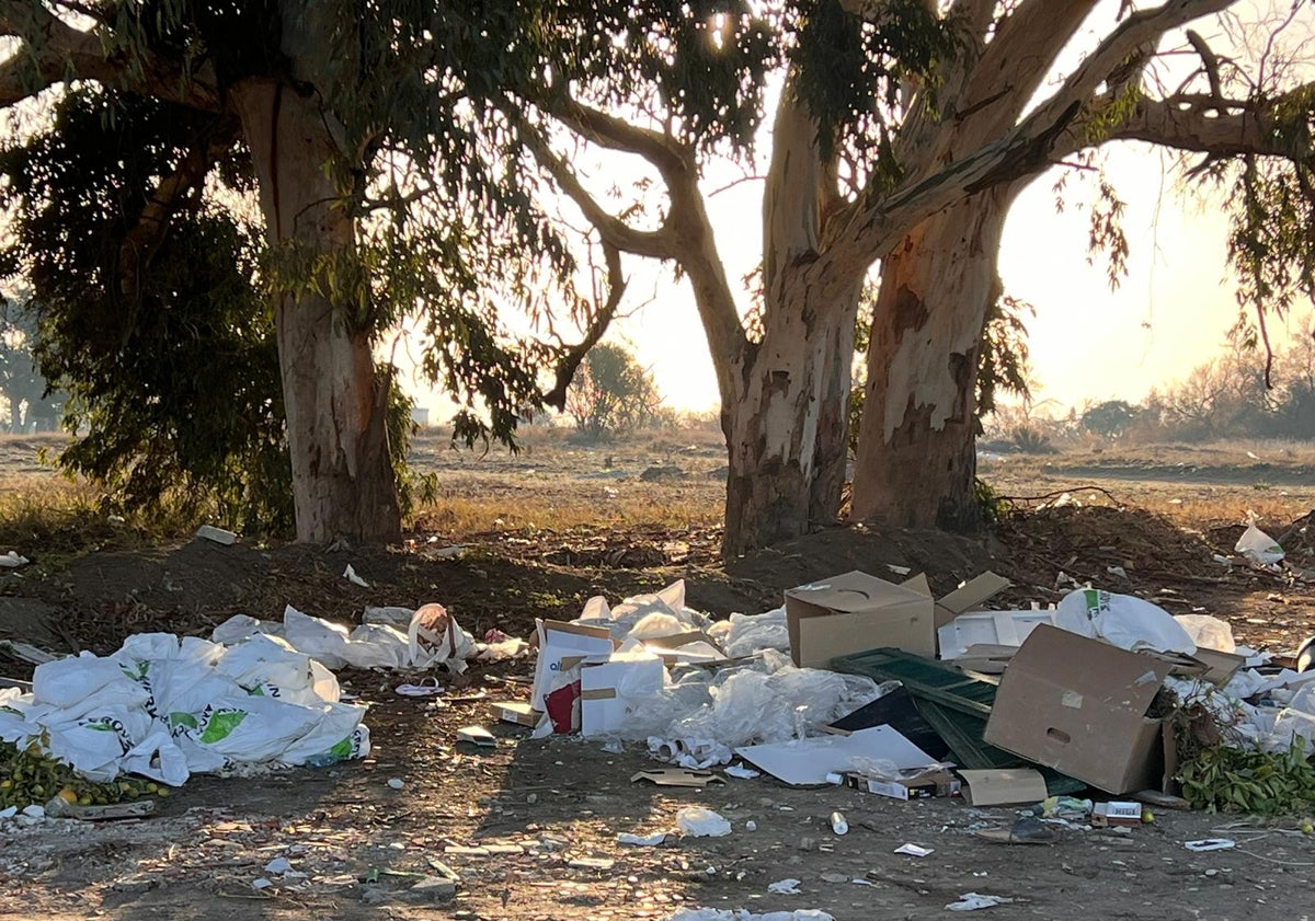 Imagen principal - Más imágenes del aspecto que presenta la zona de Arraijanal. 