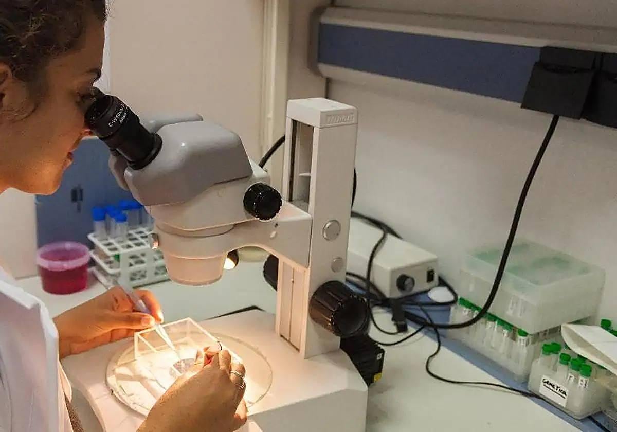 Médicos impulsan un estudio sobre la relación del tratamiento de la apnea y el riesgo de padecer cáncer