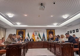 Sesión plenaria en el Ayuntamiento de Mijas.