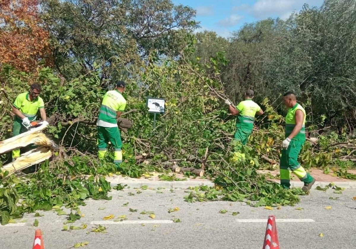 Una de las intervenciones de los Servicios Operativos de Alhaurín de la Torre.