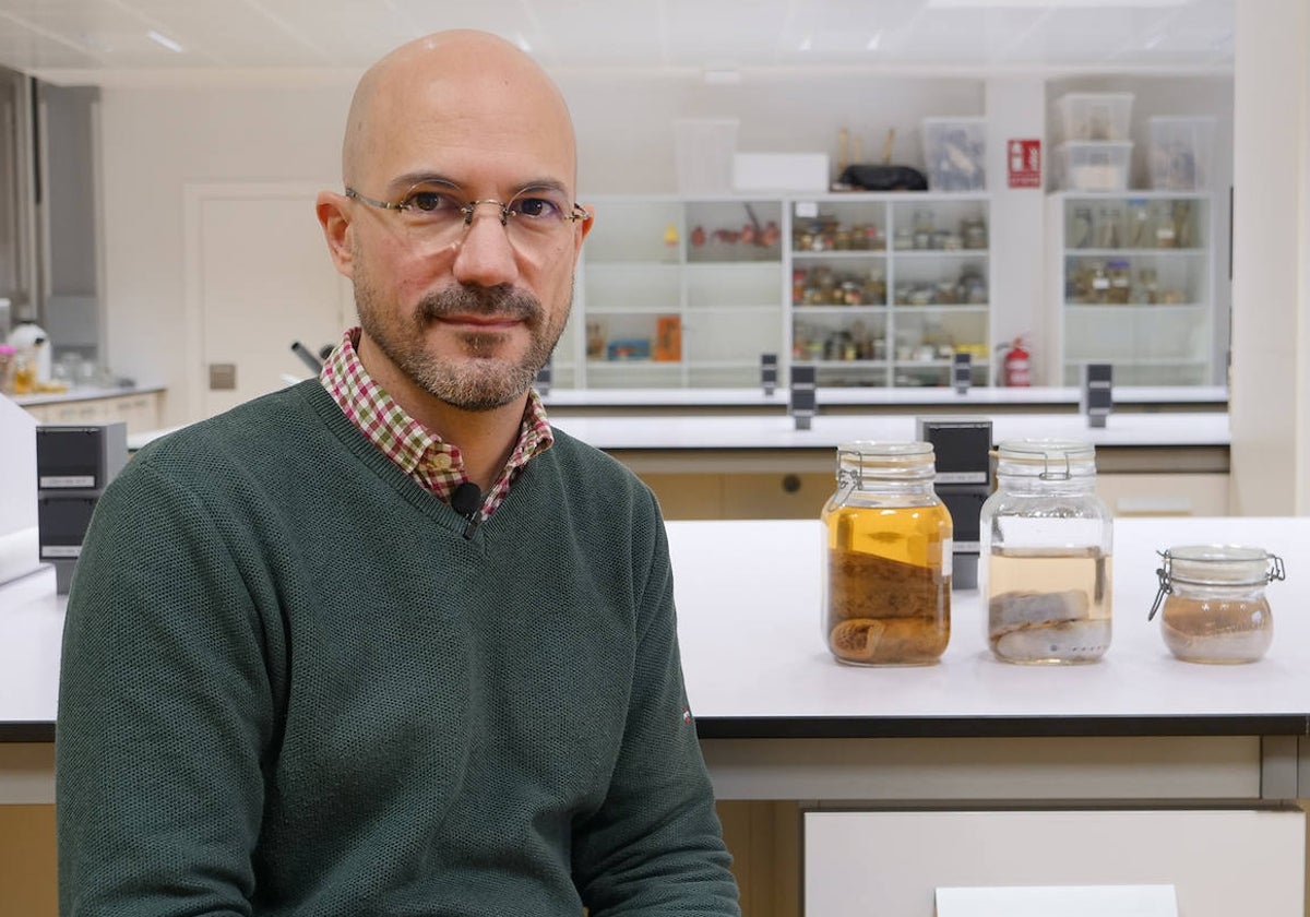 Juan Pascual Anaya, en el laboratorio de la Universidad de Málaga, donde ha realizado parte de la investigación.