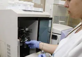 Andalucía hará pruebas para detectar el cáncer de cuello de útero a mujeres de entre 25 y 65 años