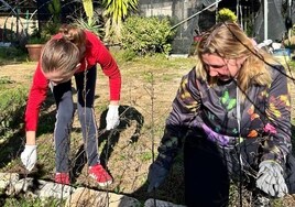 Comienza la preparación del terreno del vivero municipal destinado al cultivo de flores comestibles.