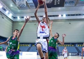 La fase final del Campeonato de España se celebrará en Alhaurín de la Torre.