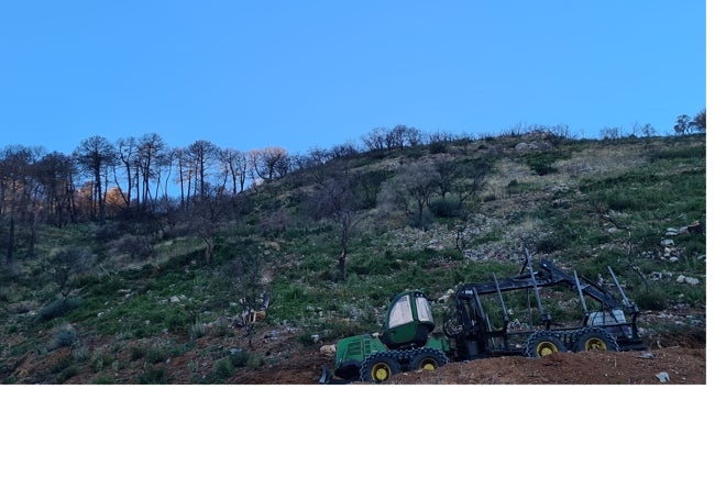 Maquinaria de gran tonelaje, empleada para el transporte de árboles, en una zona afectada por las llamas, entre los términos municipales de Mijas y Alhaurín de la Torre.