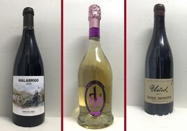 La cata: los vinos destacados de la segunda semana de febrero