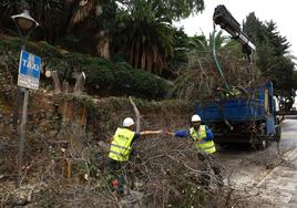 Los trabajos, a cargo de Actúa Infraestructuras, han comenzado por la retirada de un árbol.