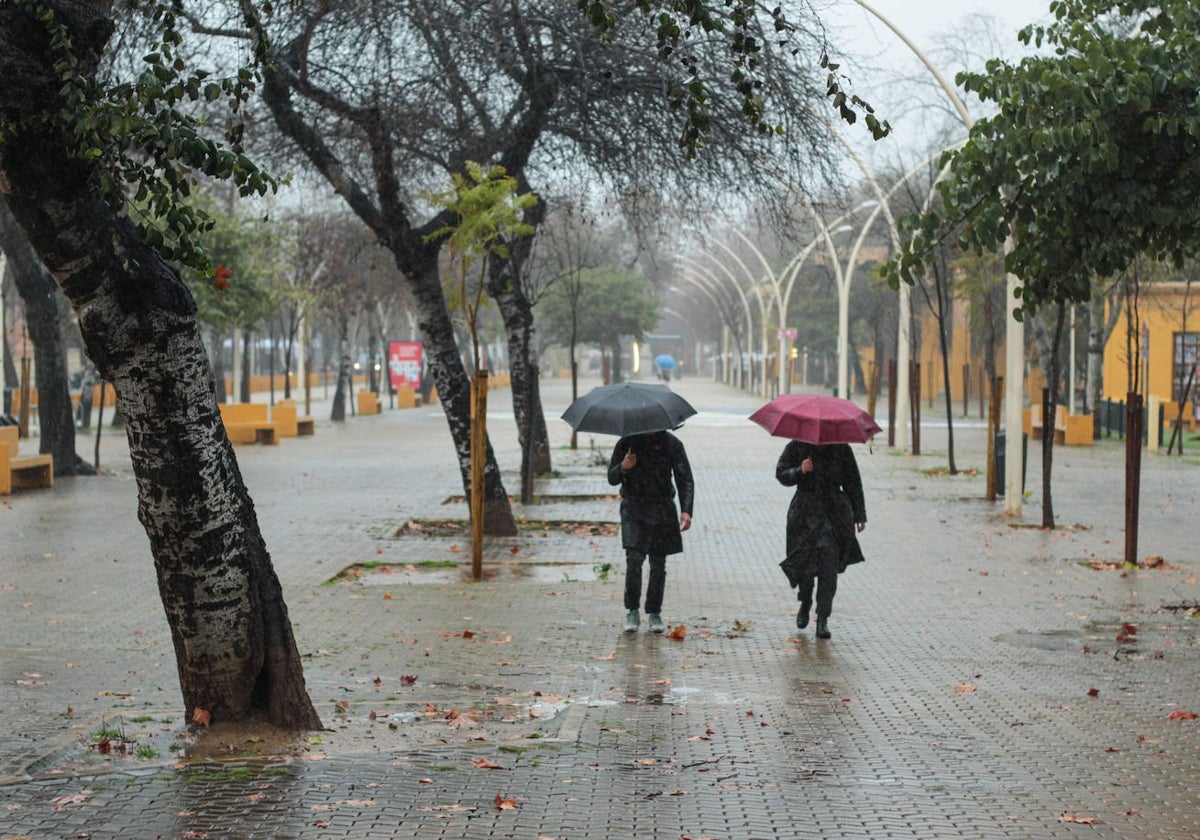 Las lluvias de la pasada semana fueron las más copiosas en más de un año.