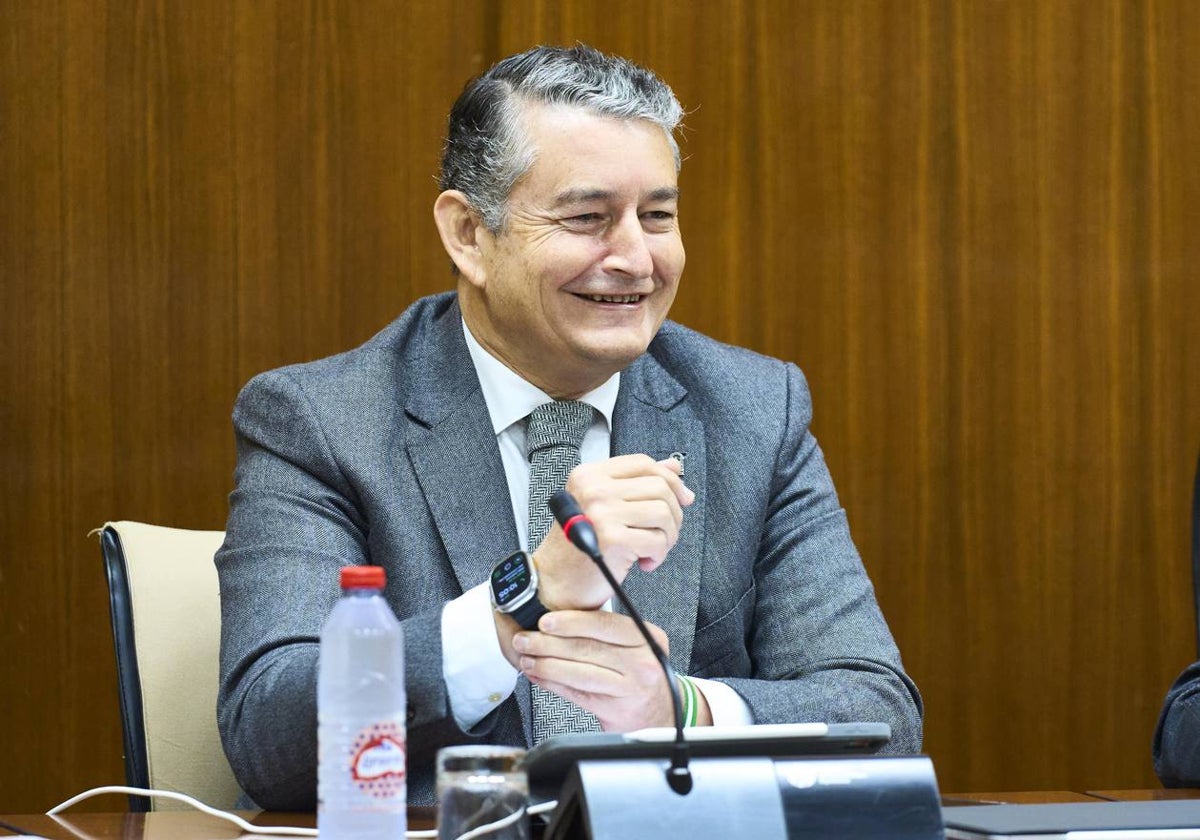 Antonio Sanz, durante su comparecencia en la comisión parlamentaria.