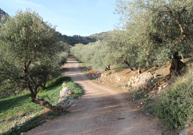 Carril desde el que se deja atrás la aldea de Doña Ana