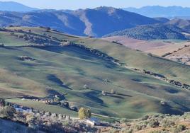 Verdor. A pesar de la sequía hay paisajes en esta zona de la provincia que brillan por su colorido.