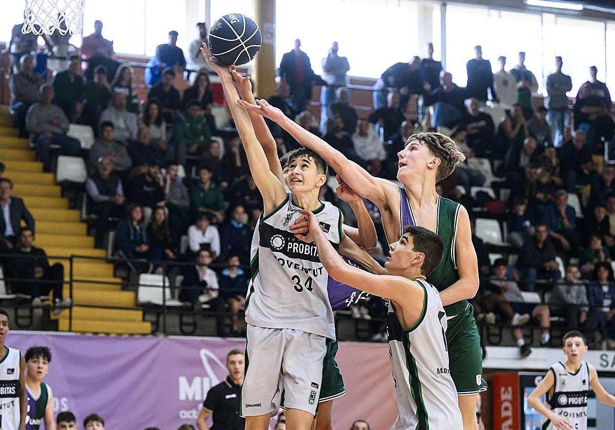 Moller trata de hacerse con un balón ante dos jugadores del Joventut.