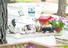 El espacio para enterrar a las mascotas estará apartado en una parcela detrás del cementerio de nichos.