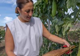 Elisabet Moreno, socia de la empresa, con la planta de luffa.