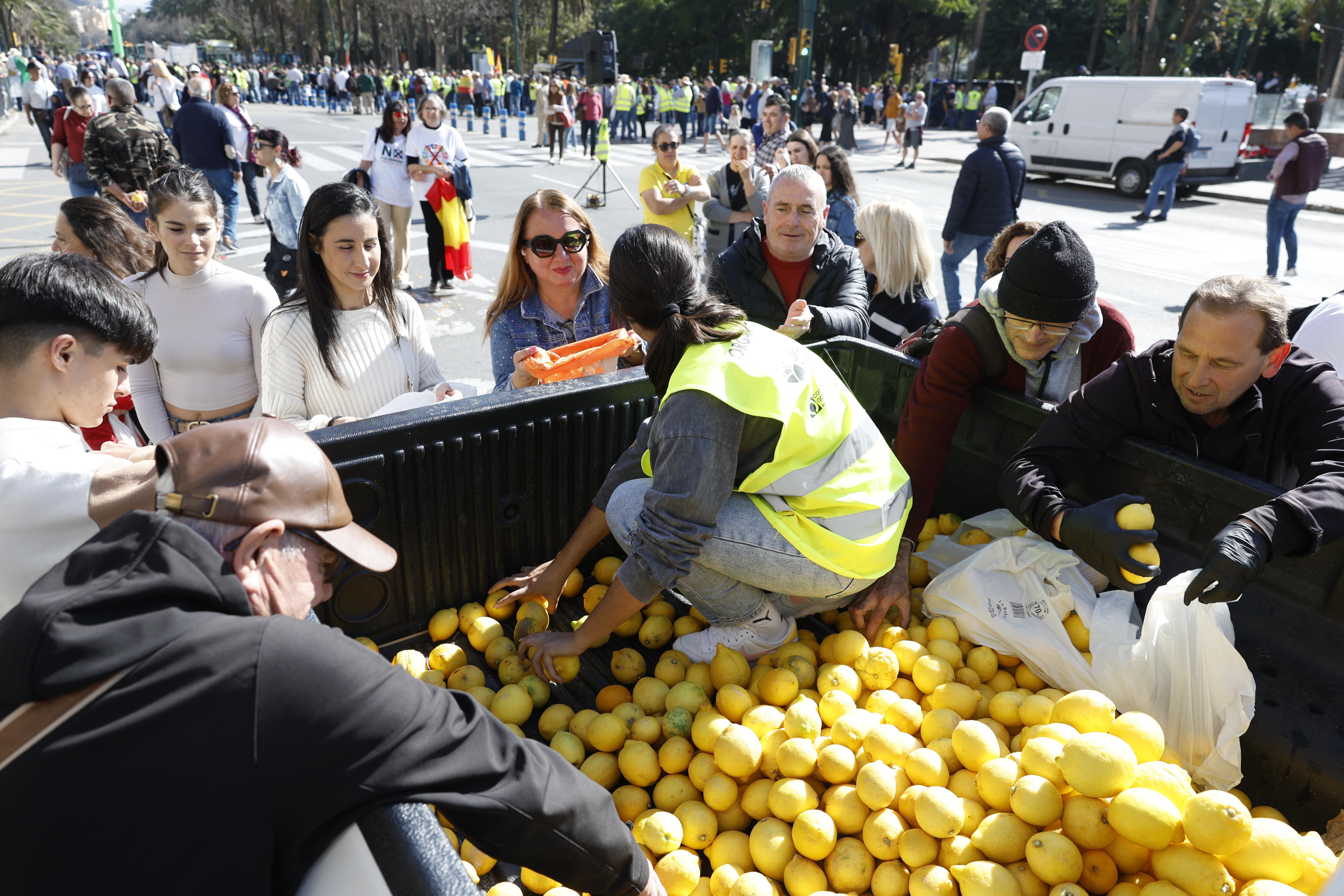 En imágenes: una nueva tractorada recorre las calles de Málaga