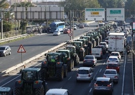 La imagen muestra a una de las dos columnas de tractores entrando a Málaga.