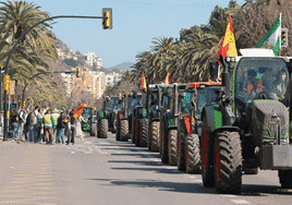 Una imagen del Paseo del Parque, donde se han congregado numerosos tractores, en una nueva jornada de protesta del campo.