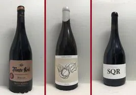 La cata: los vinos recomendados de la última semana de febrero