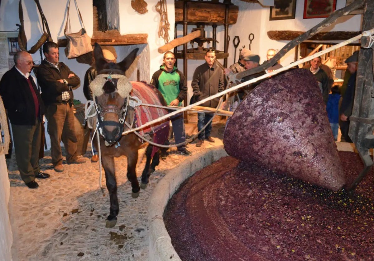 Imagen de una edición anterior de la fiesta con la demostración del molino de sangre.