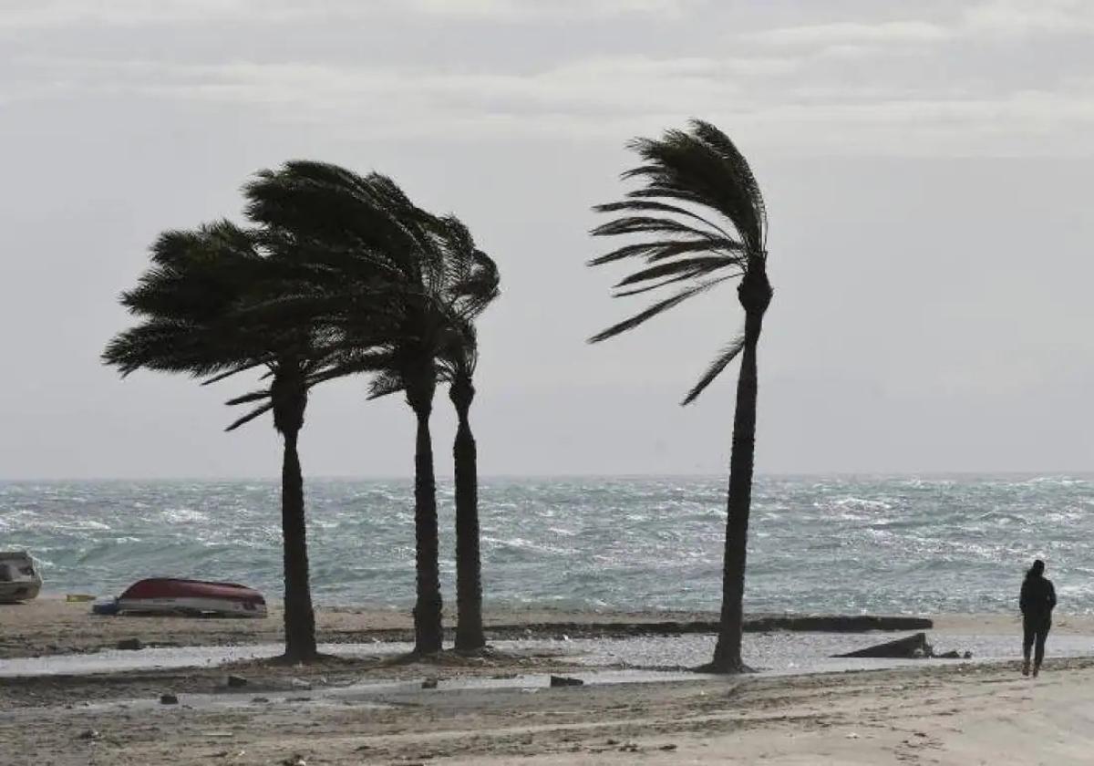 El viento, las olas y la nieve tendrán este viernes en aviso amarillo, naranja y rojo a más de la mitad del país