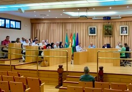 Imagen de una sesión plenaria en esta legislatura en Vélez-Málaga.