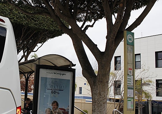Una usuaria espera en una parada de autobús en la travesía de Alhaurín de la Torre.