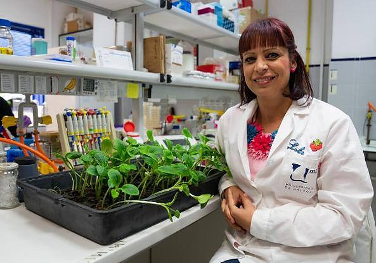 Dolores Fernández, en uno de los laboratorios de la Universidad de Málaga.