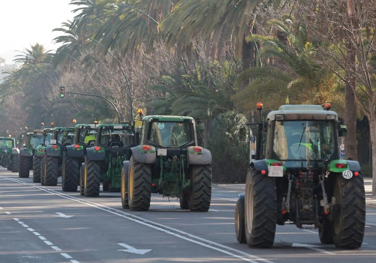 Una imagen de los tractores entrando en el Paseo del Parque, el pasado 21 de febrero.