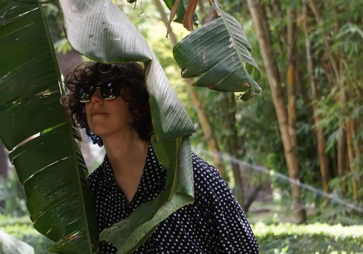 Violeta Niebla
