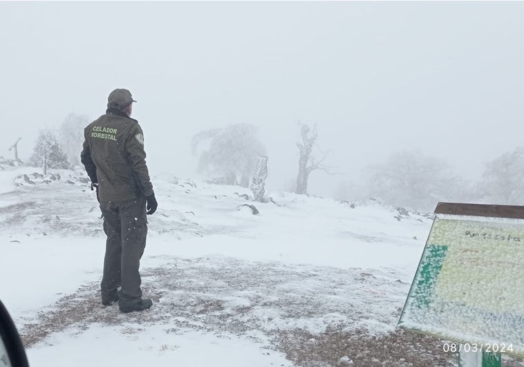 Estampa que deja la nevada de anoche en la Sierra de las Nieves.