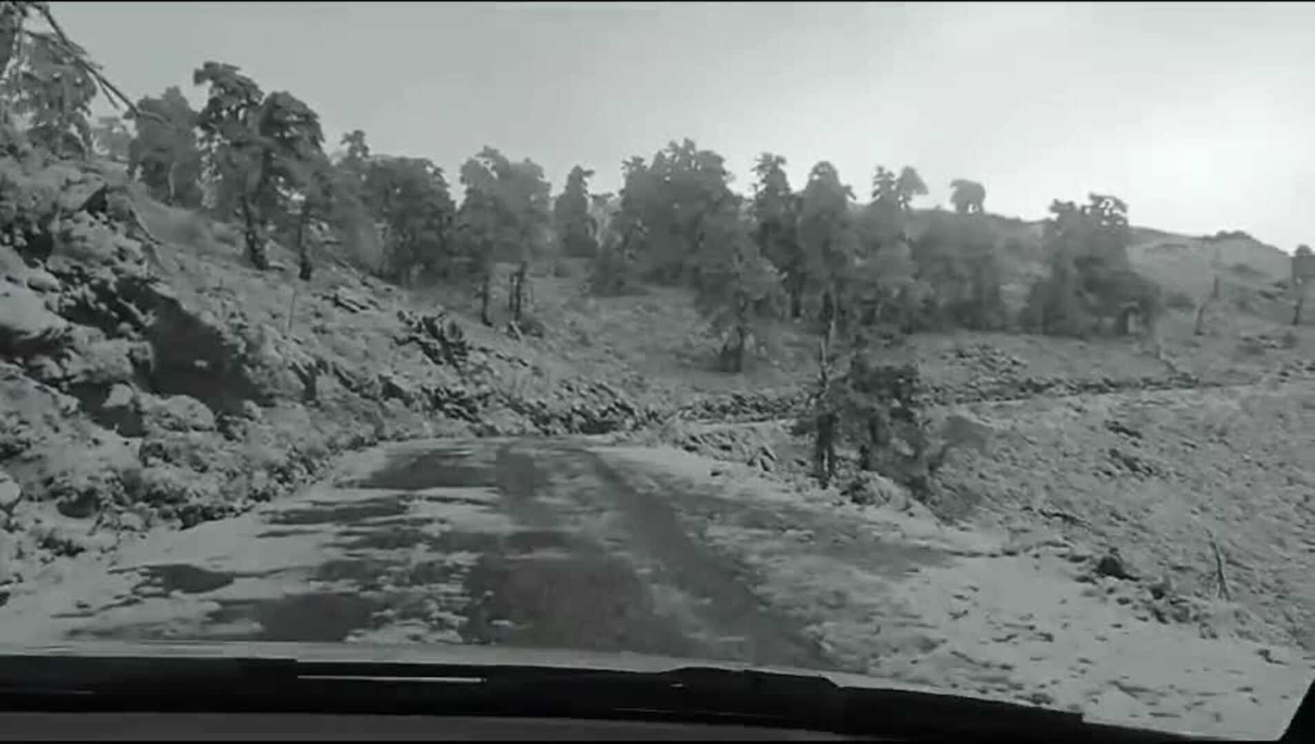 Nevada en la Sierra de las Nieves de Málaga