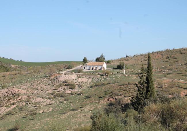 Al fondo el cortijo del Madroño