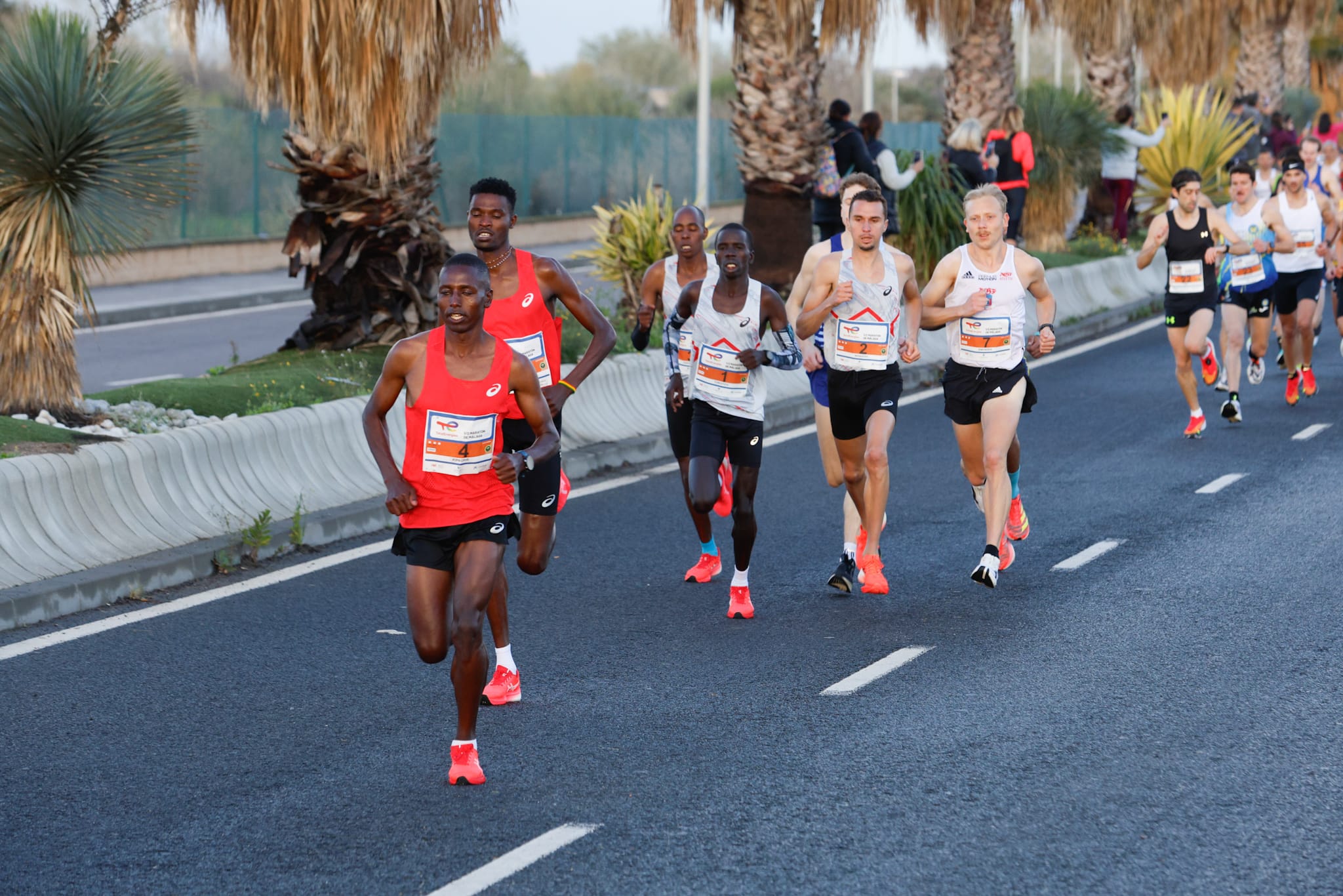 La XXXIII Media Maratón Ciudad de Málaga, en imágenes