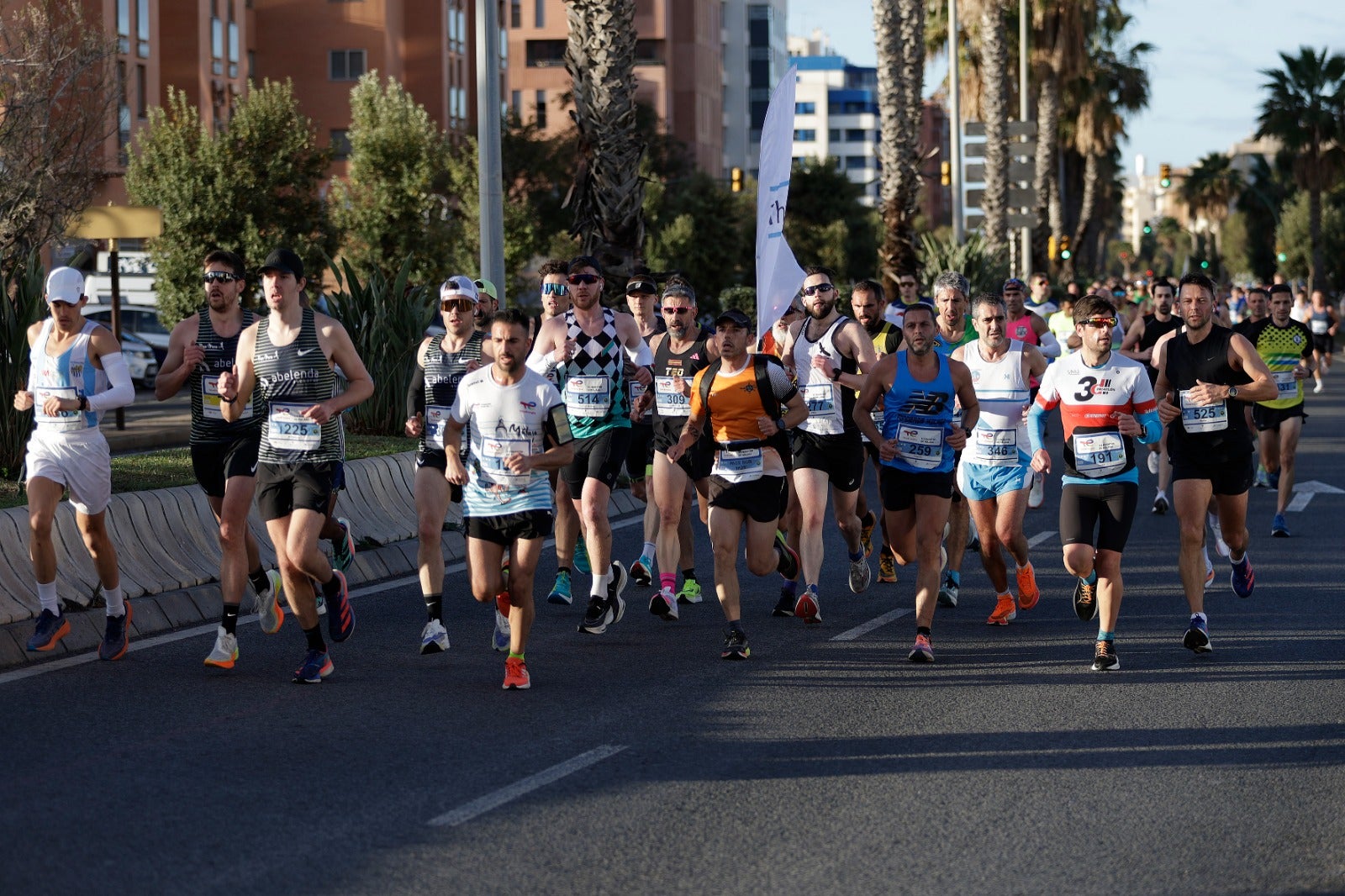 La XXXIII Media Maratón Ciudad de Málaga, en imágenes